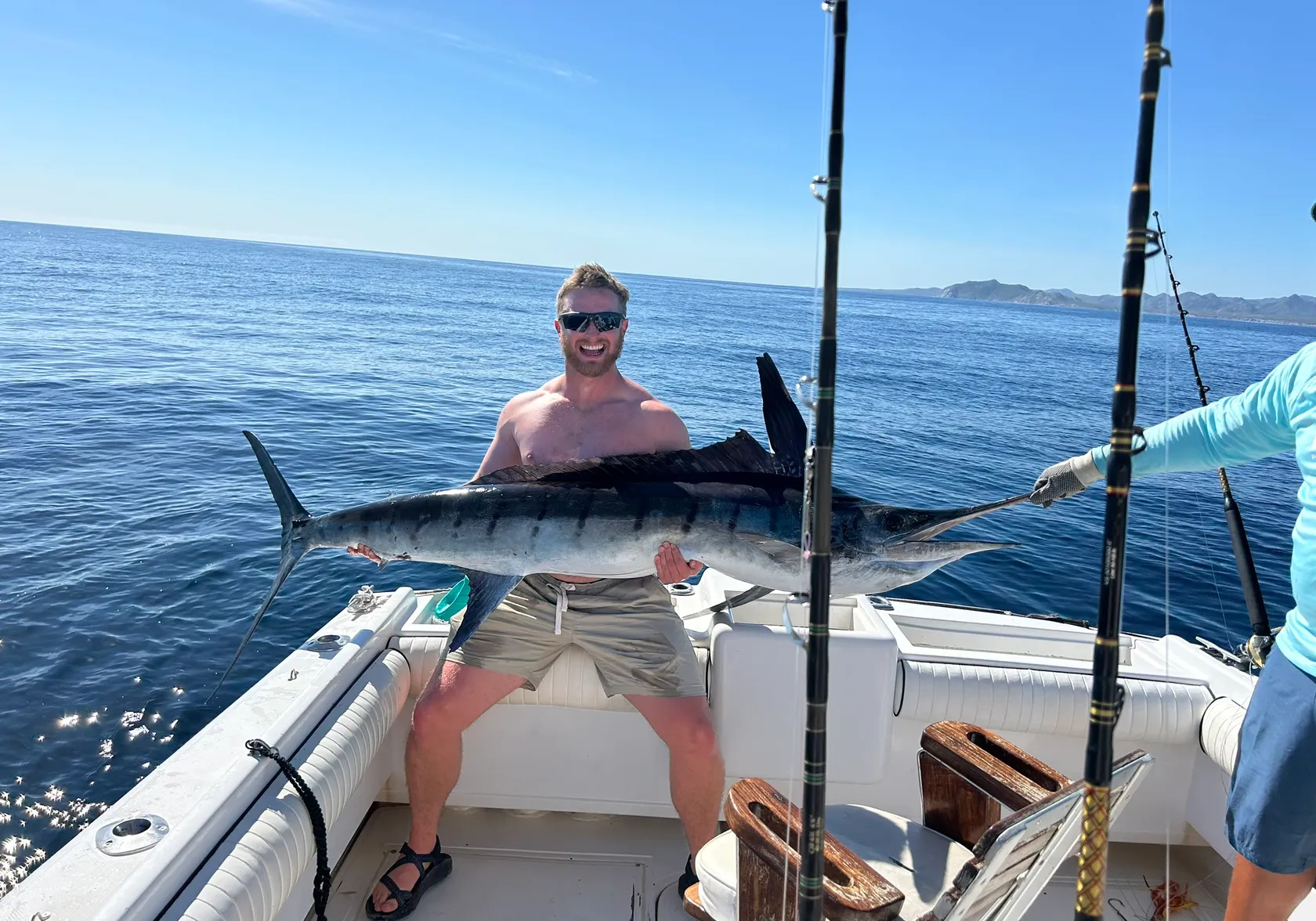 Striped marlin