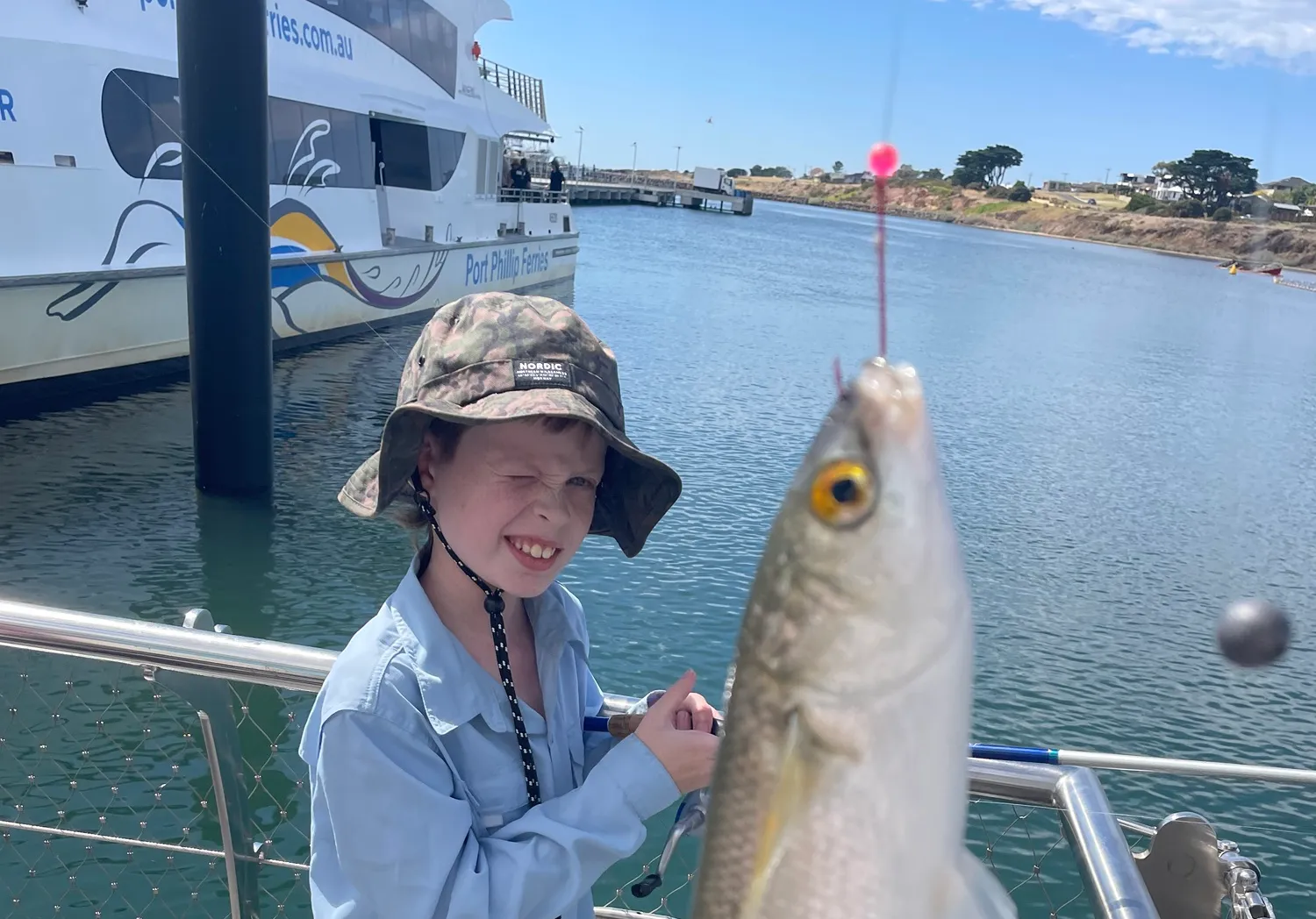 Yellow-eye mullet