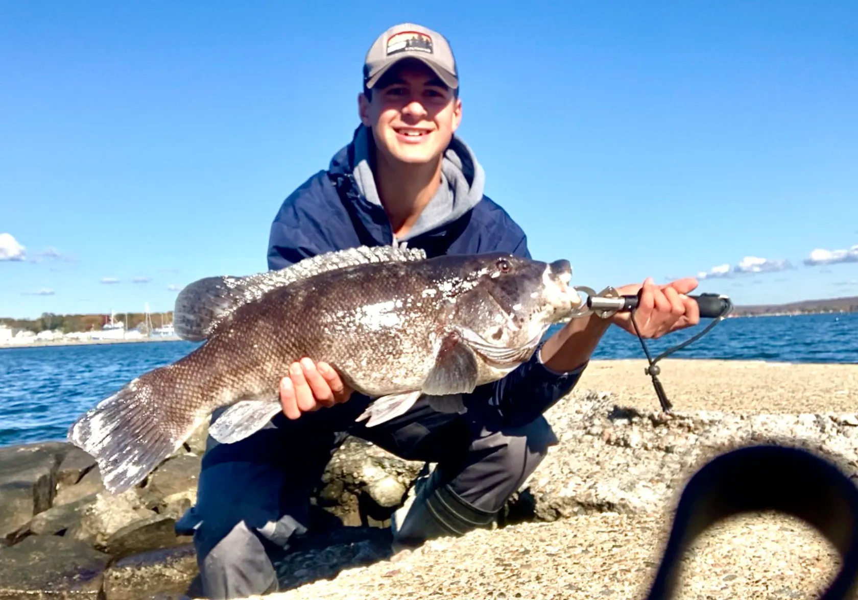 Tautog