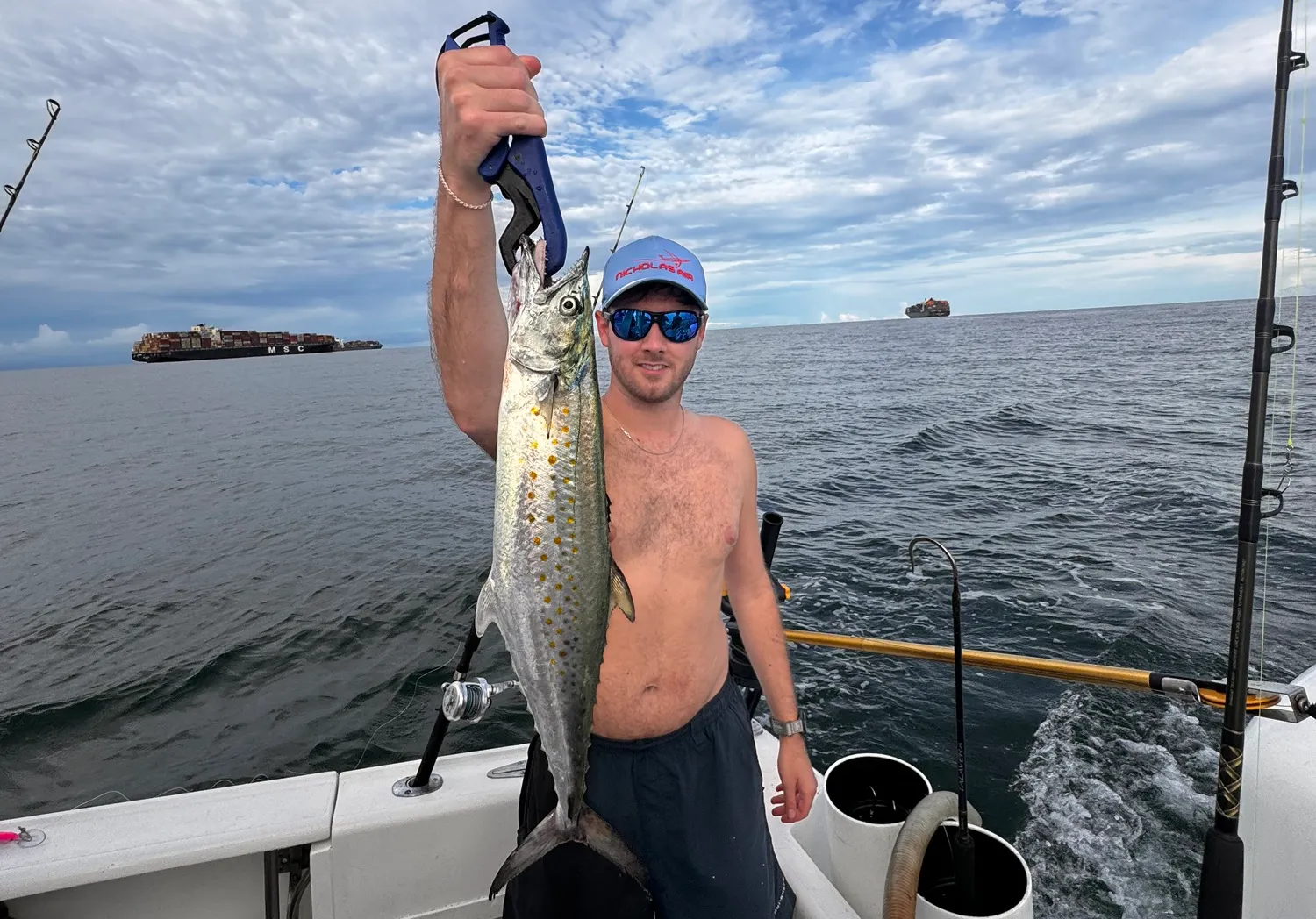 Serra Spanish mackerel