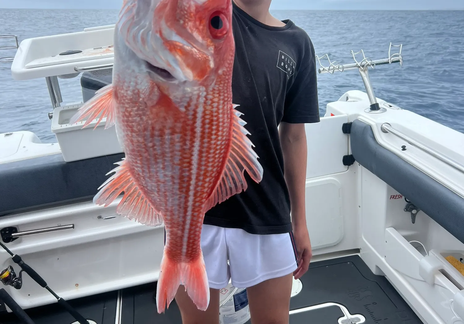 Malabar blood snapper