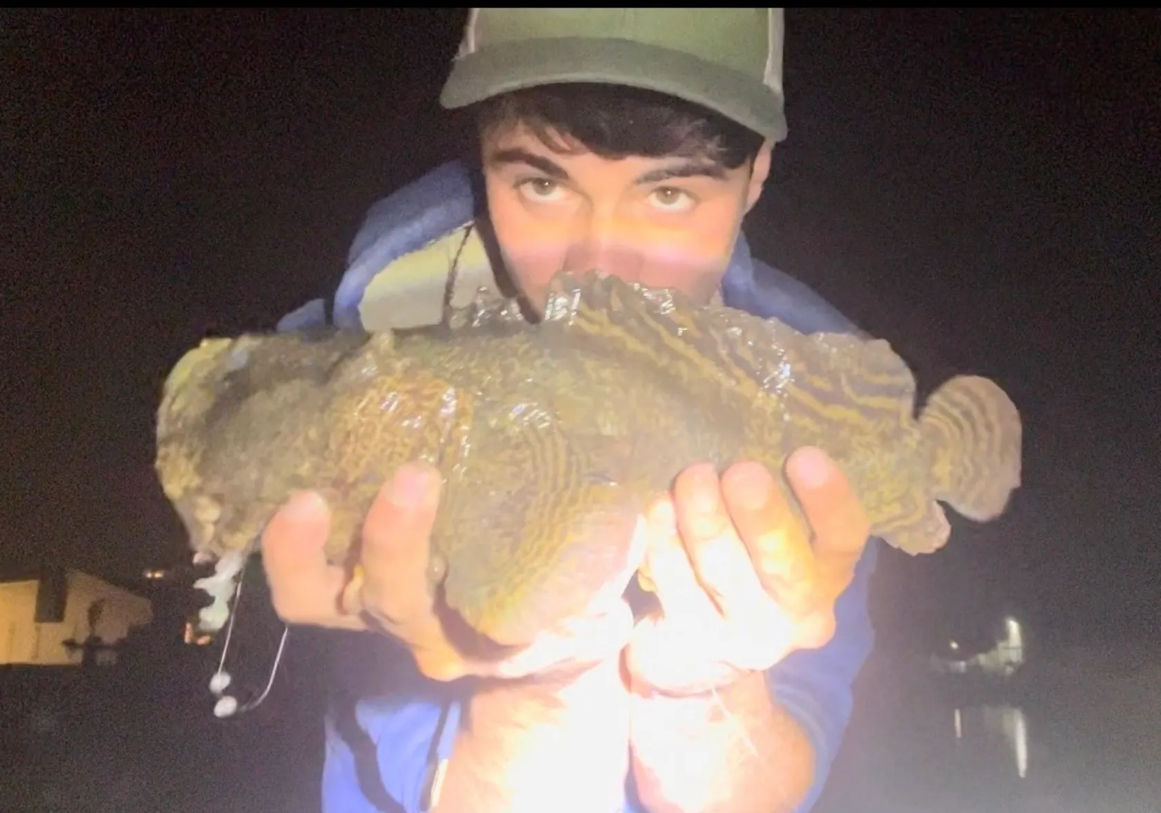 Oyster toadfish