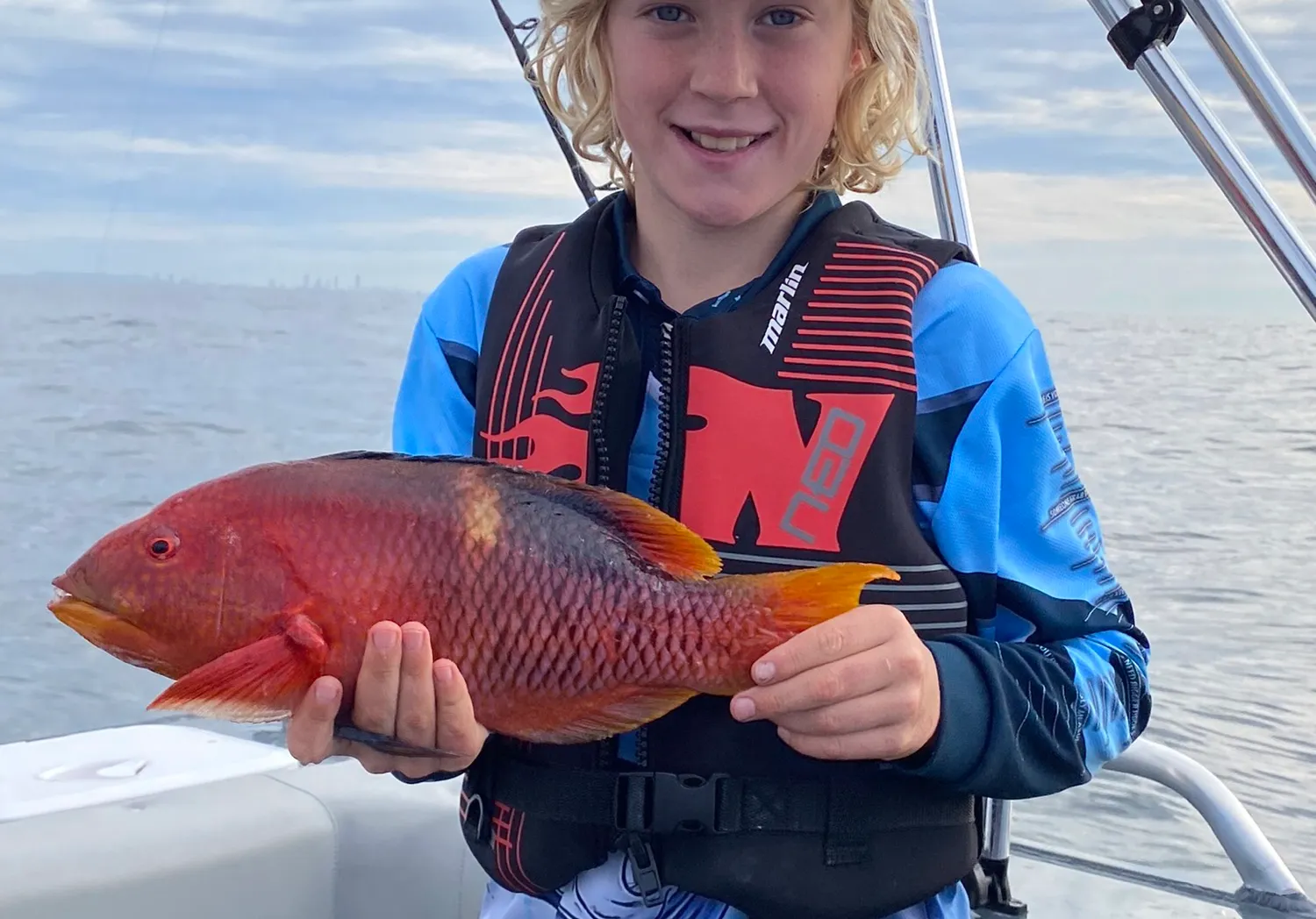 Mediterranean parrotfish