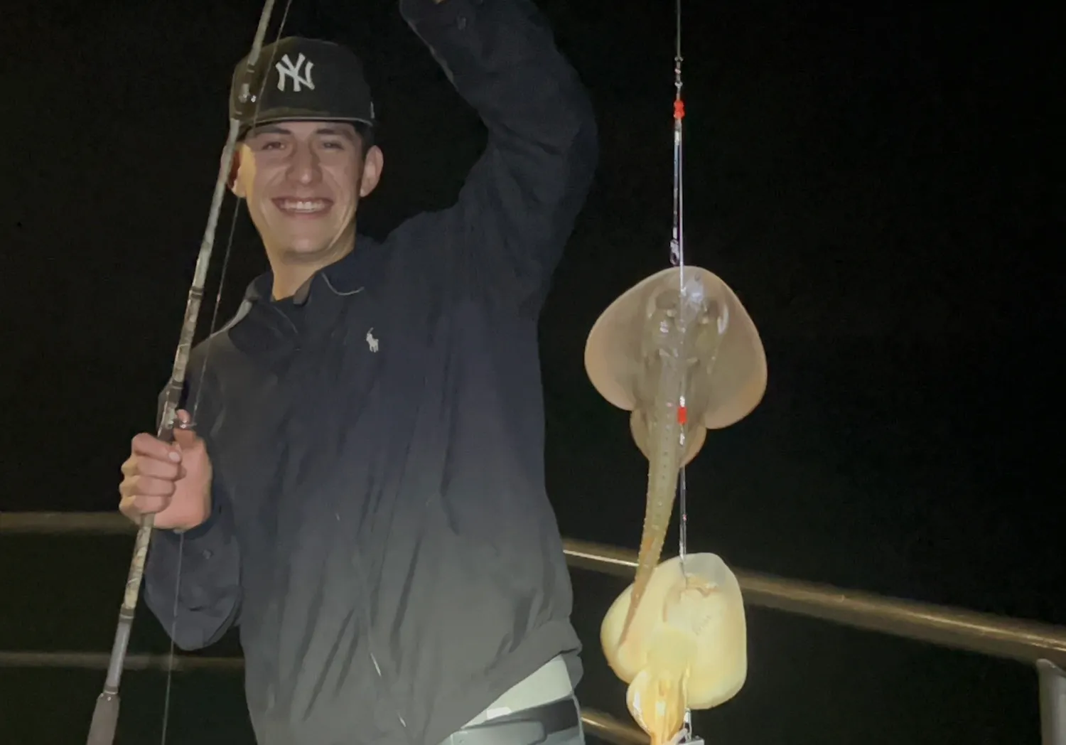 Haller's round ray