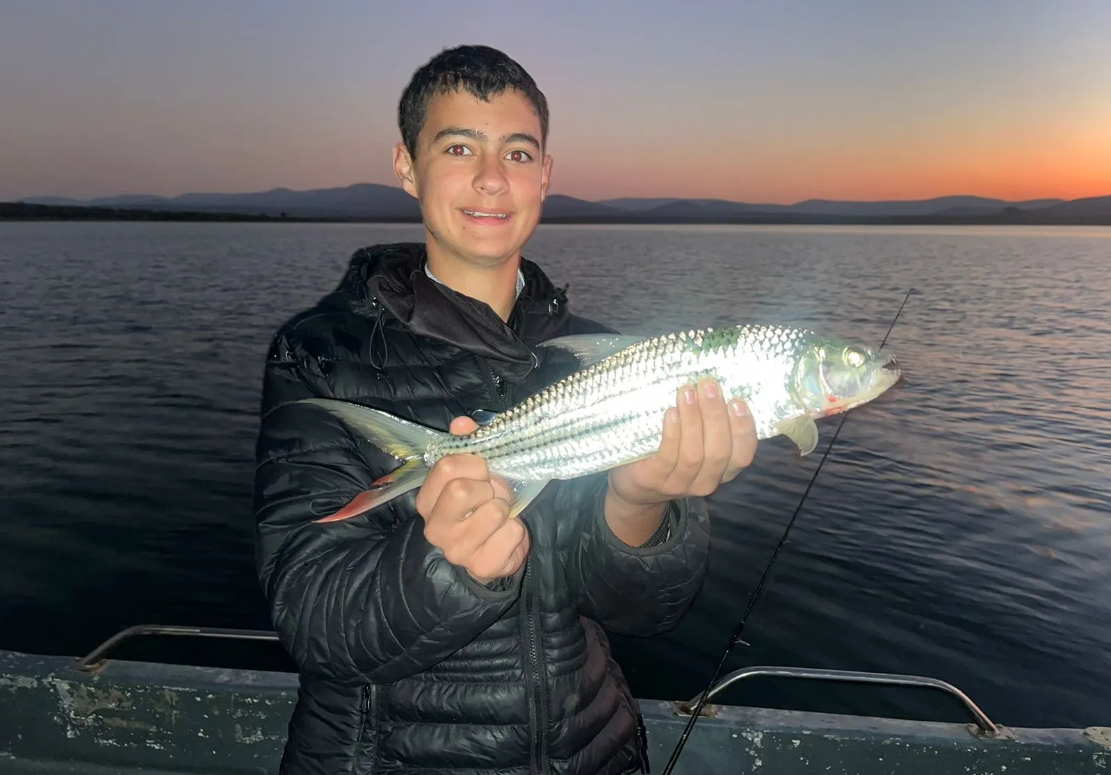 African tigerfish