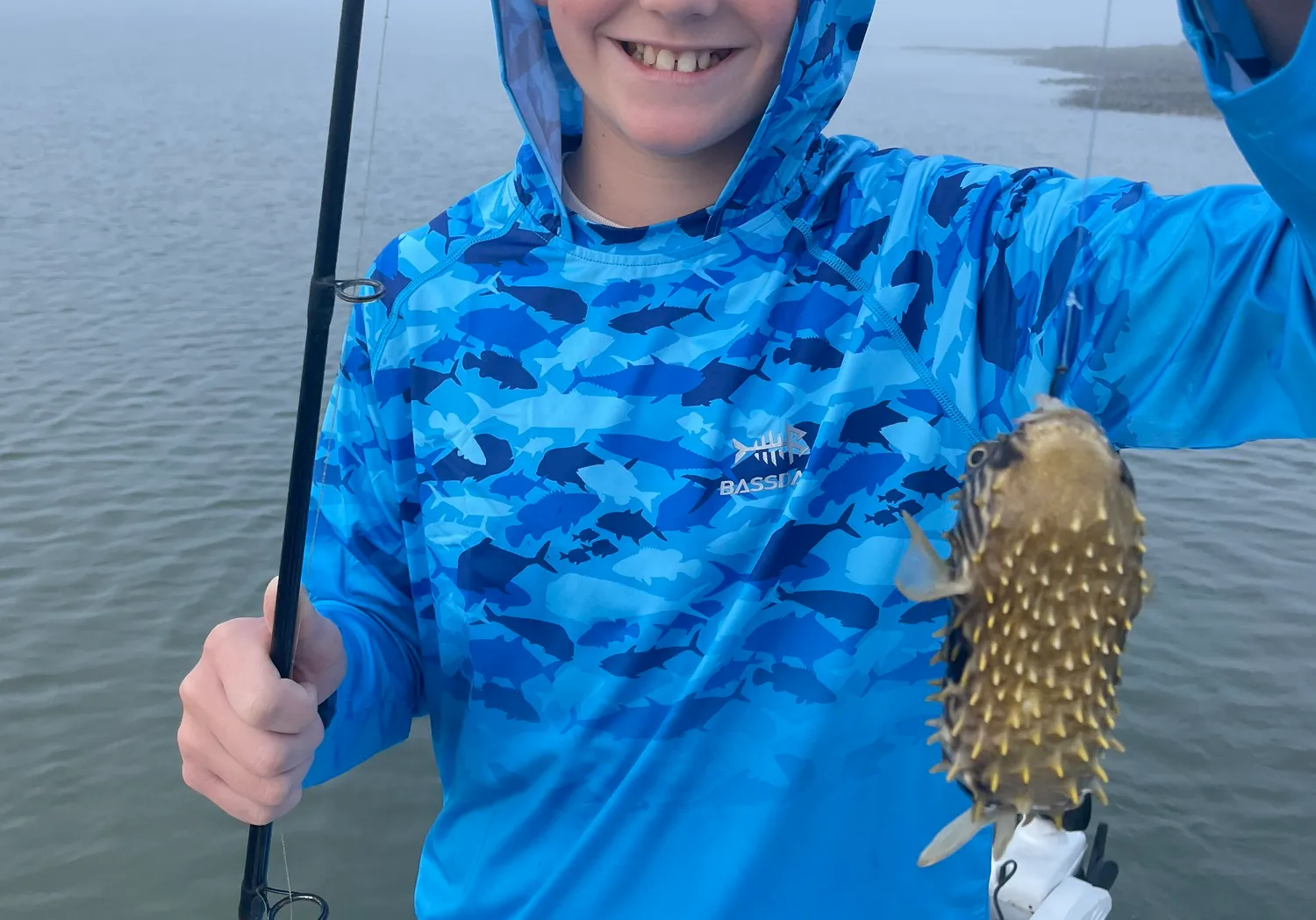 White-spotted puffer