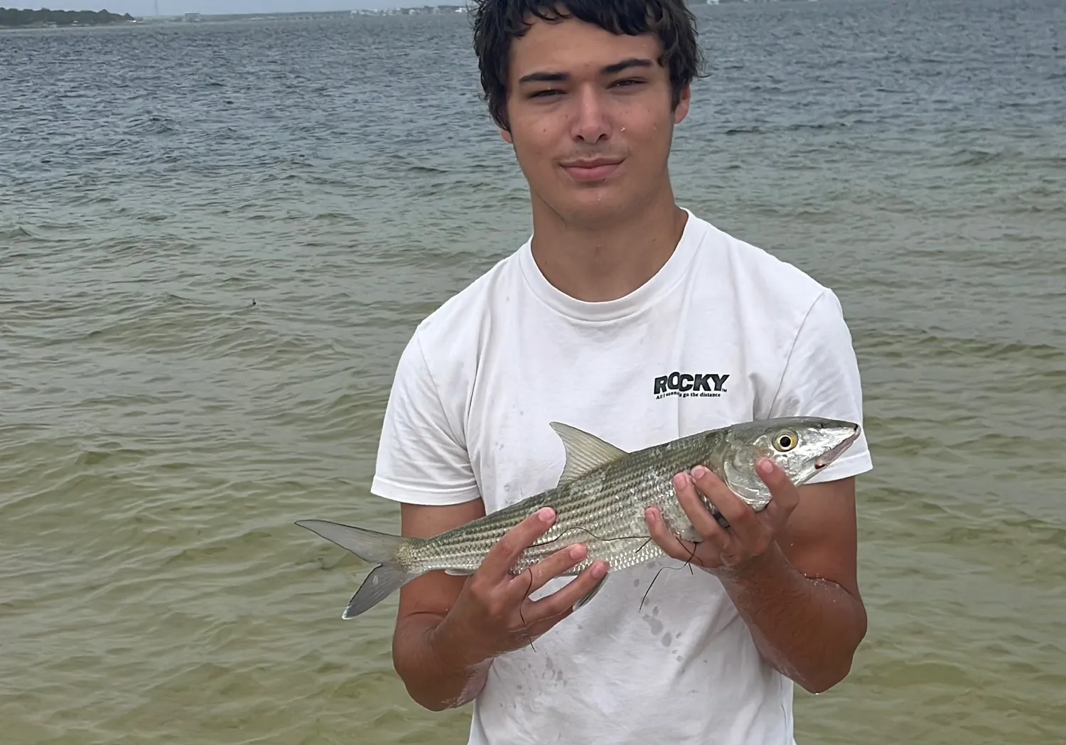 West Atlantic bonefish