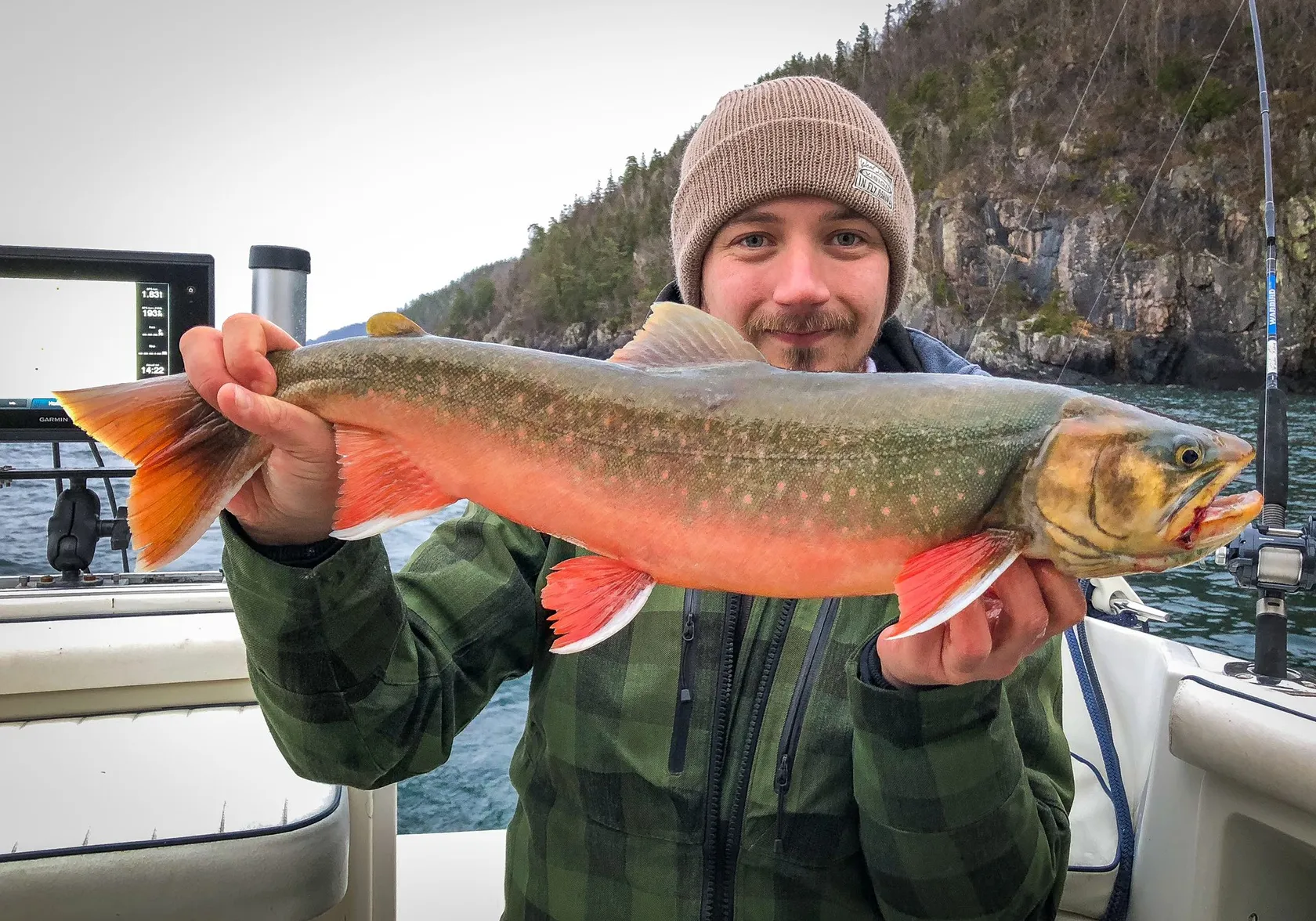 Arctic char