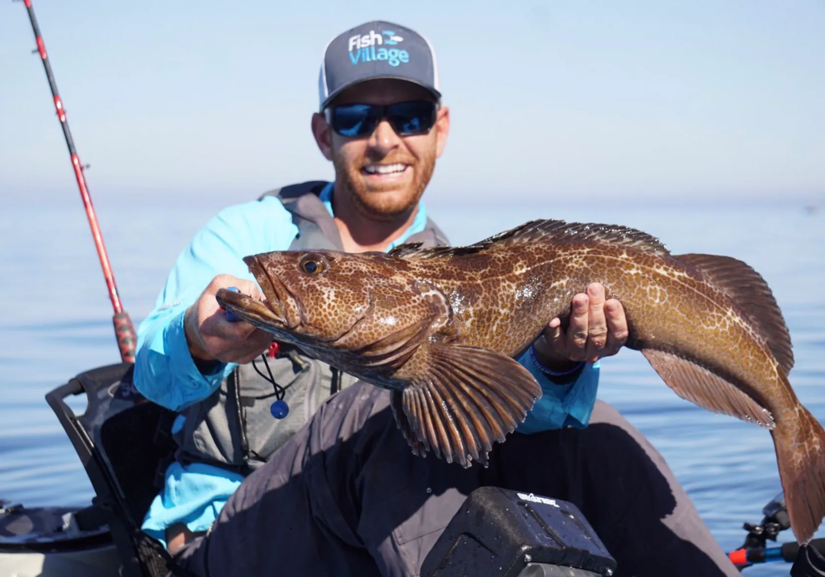 Lingcod