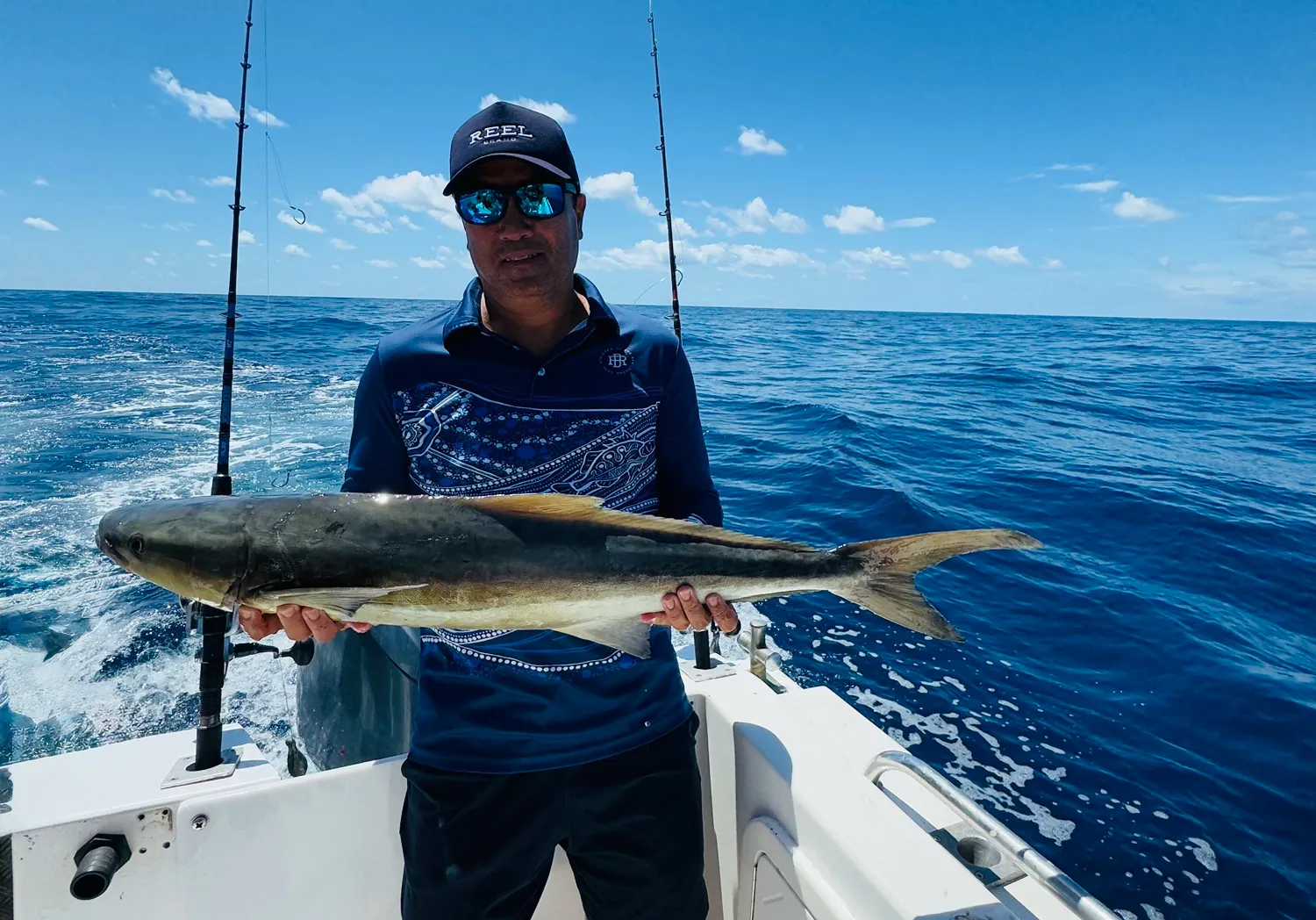 Cobia