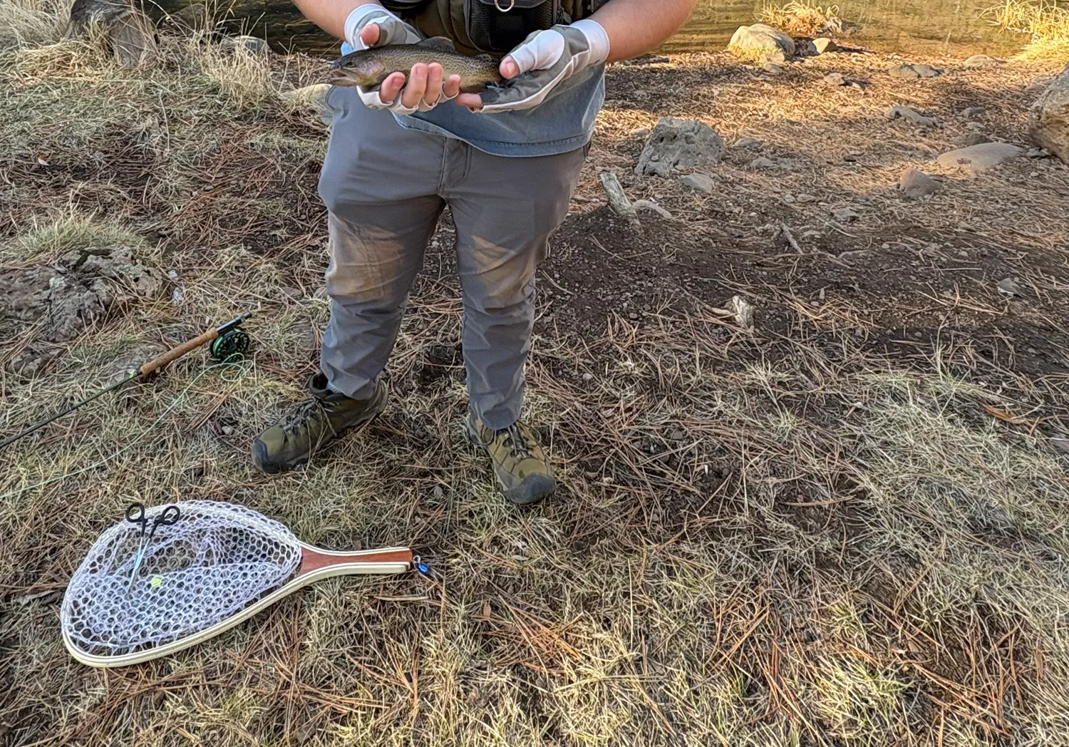 Apache trout