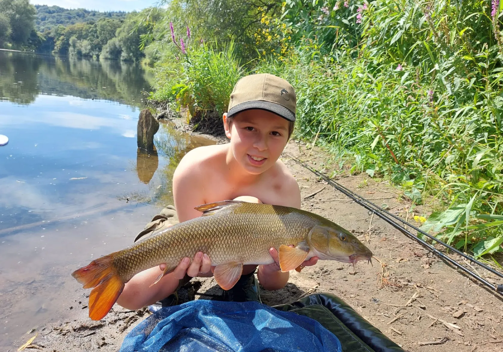 Common barbel