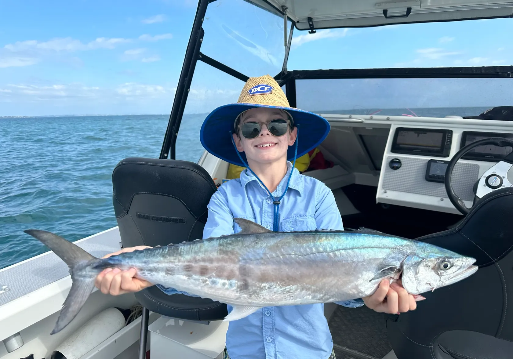 Australian spotted mackerel