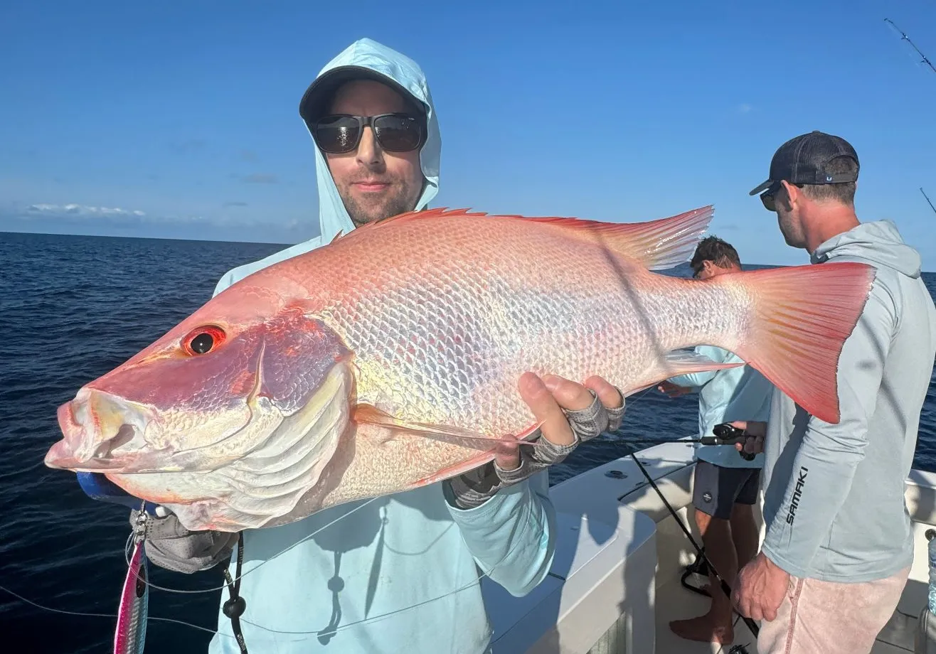 Malabar blood snapper