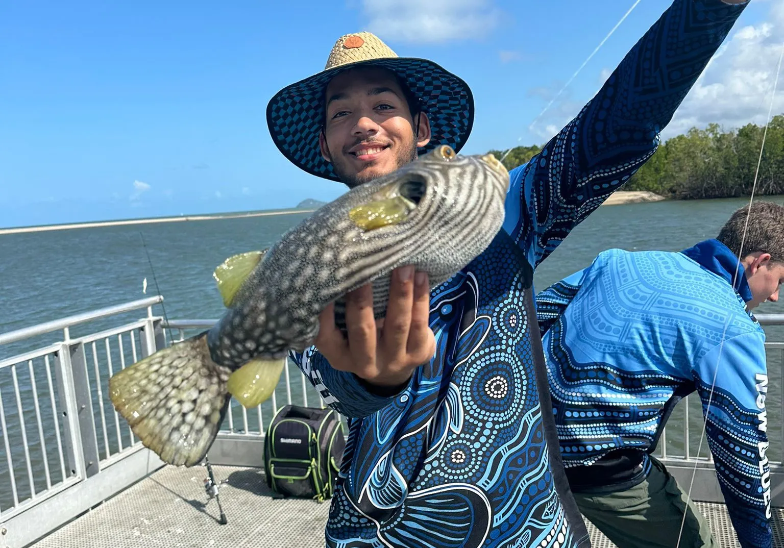 White-spotted puffer