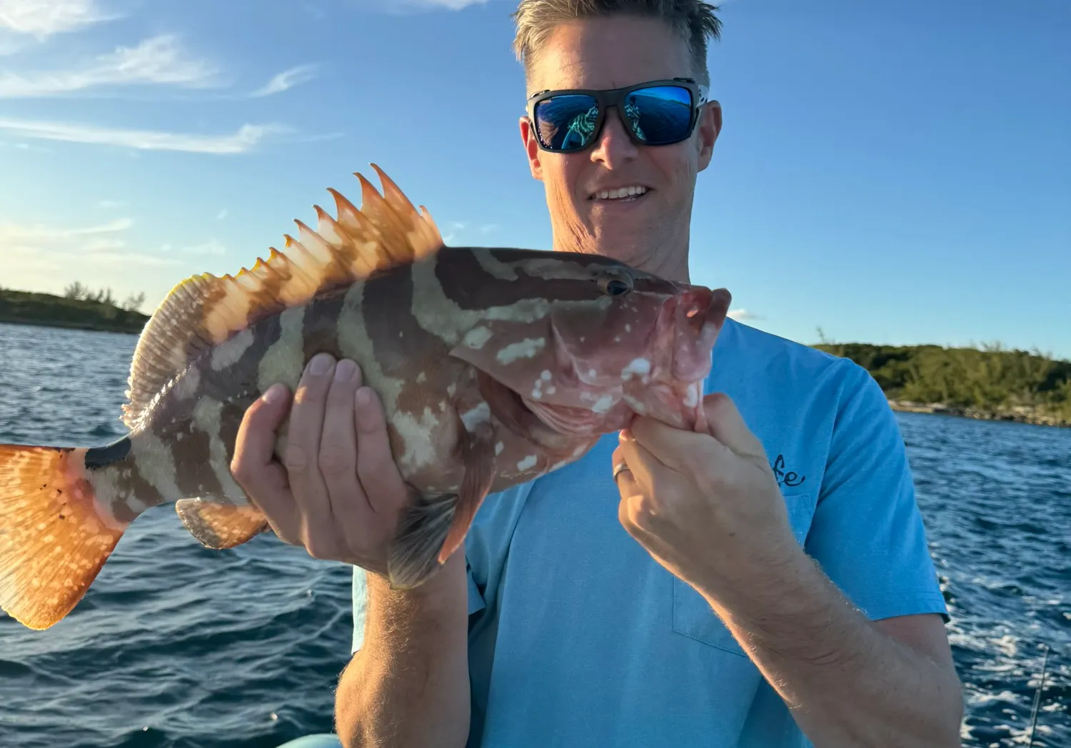 Nassau grouper