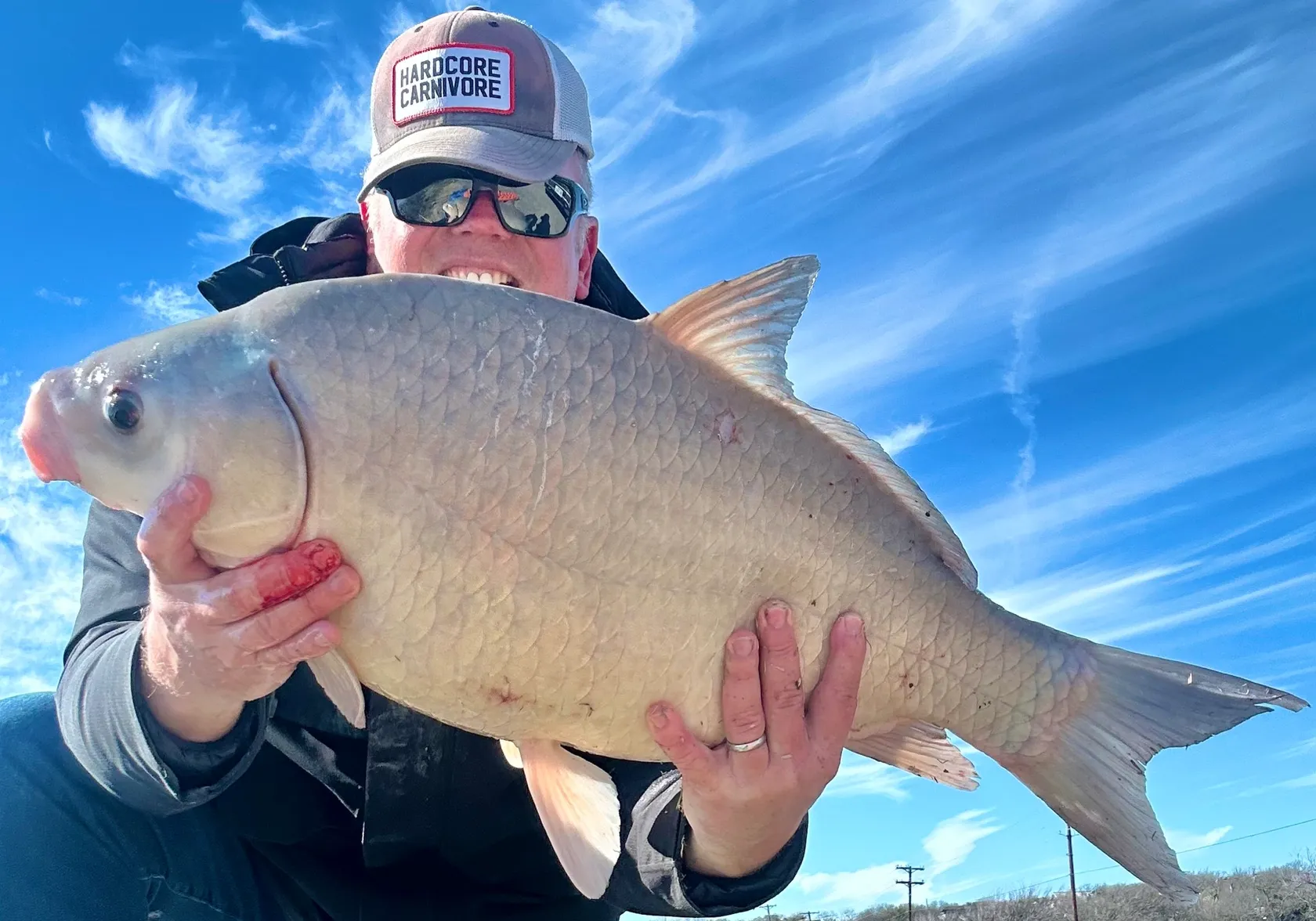 Smallmouth buffalo