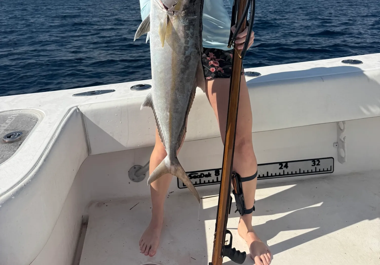 Greater amberjack