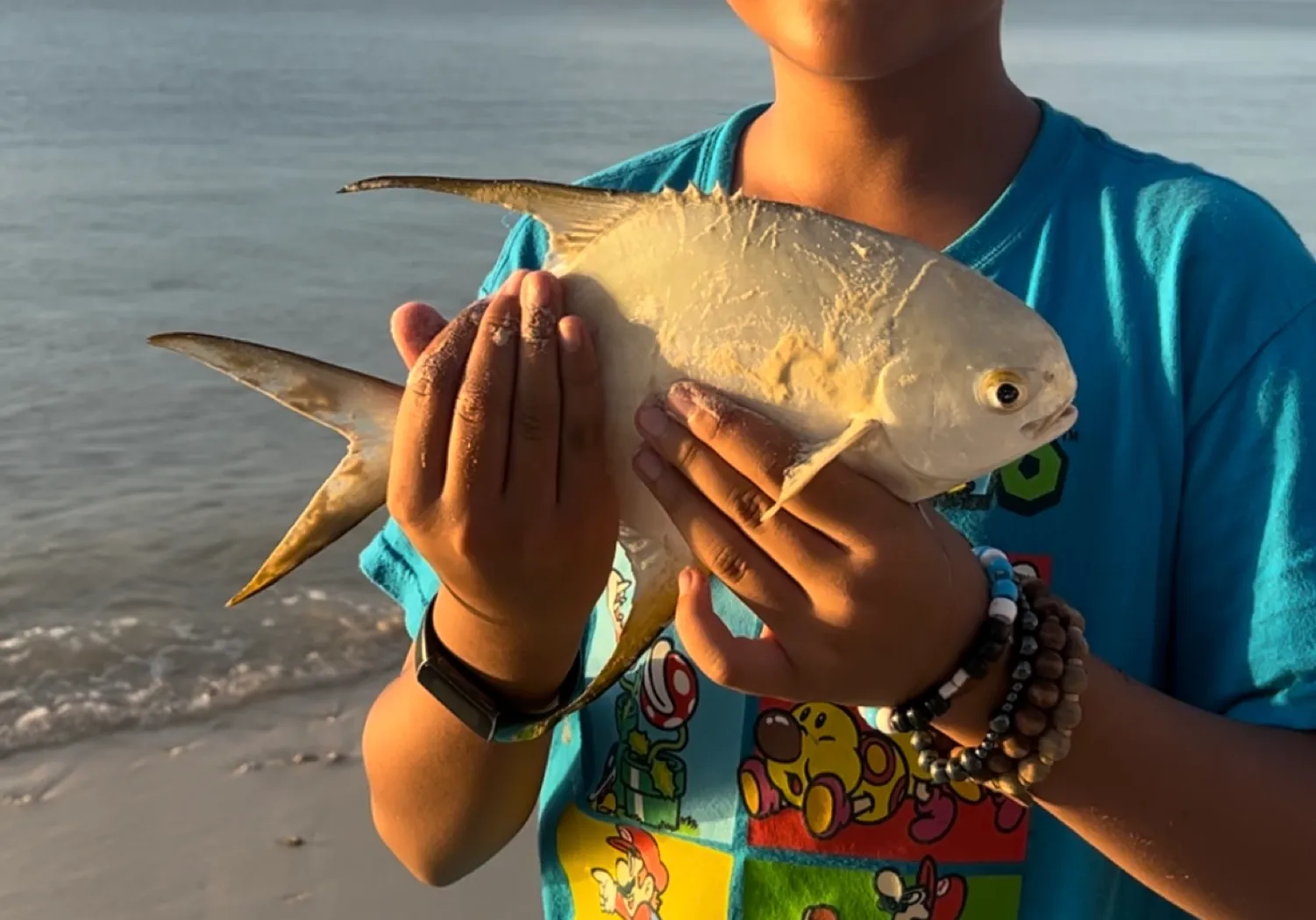 Snubnose pompano