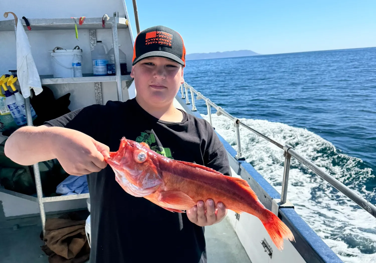 Cowcod rockfish