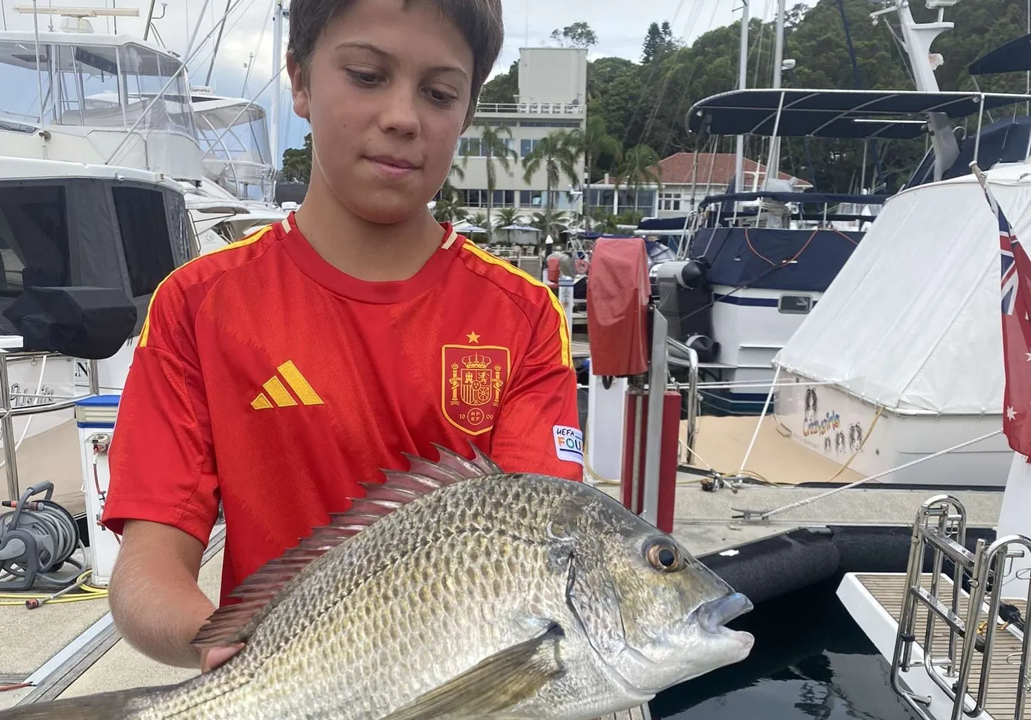 Southern black bream