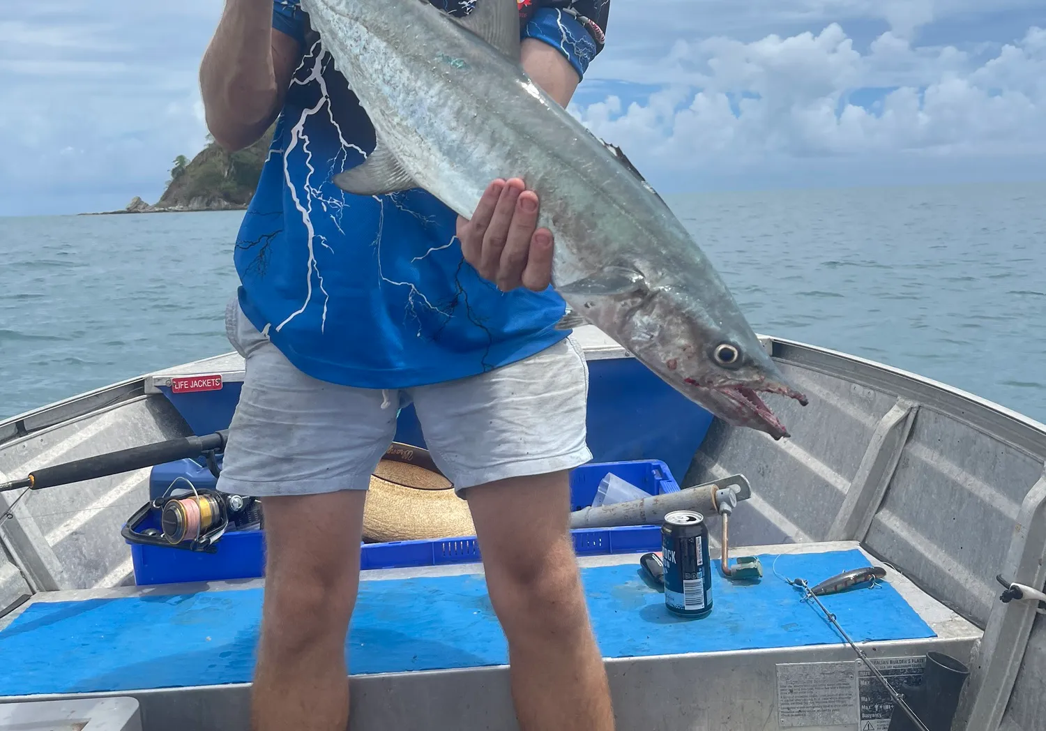 Narrow-barred Spanish mackerel