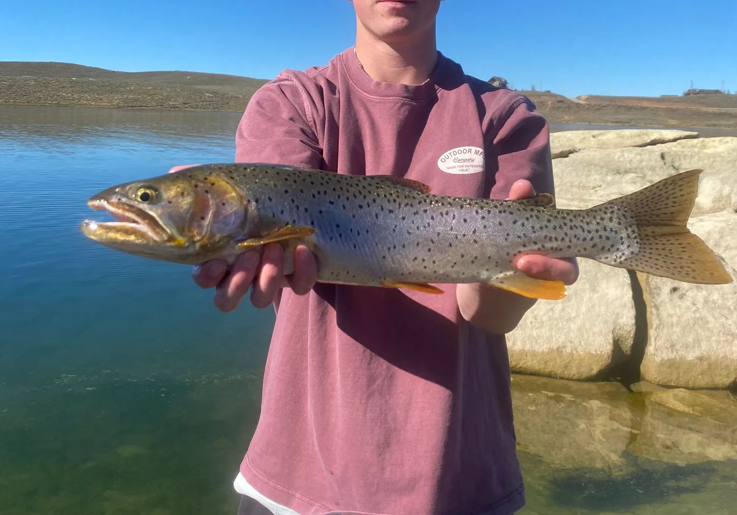 Bear lake cutthroat trout