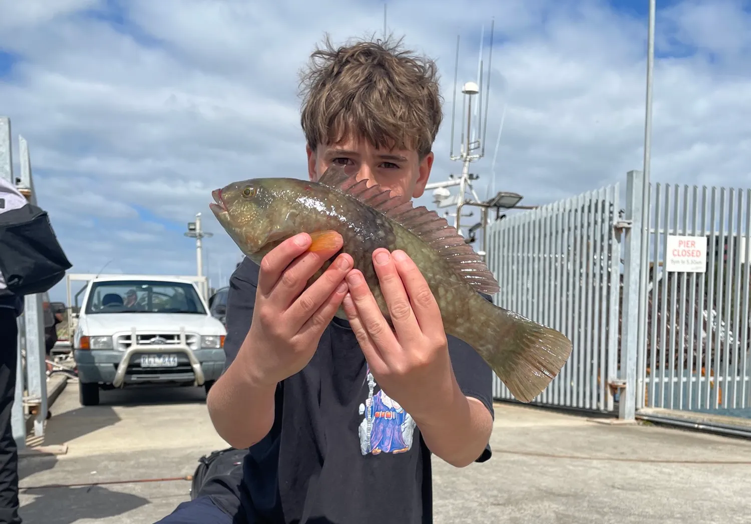 Brownspotted wrasse