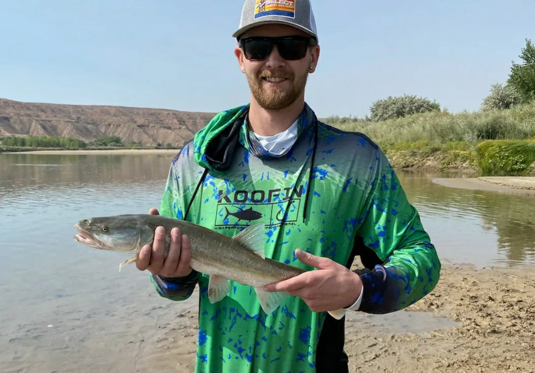 Colorado pikeminnow