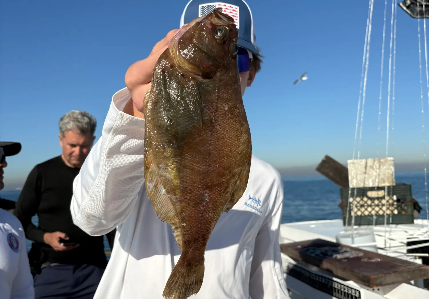 Pacific sanddab