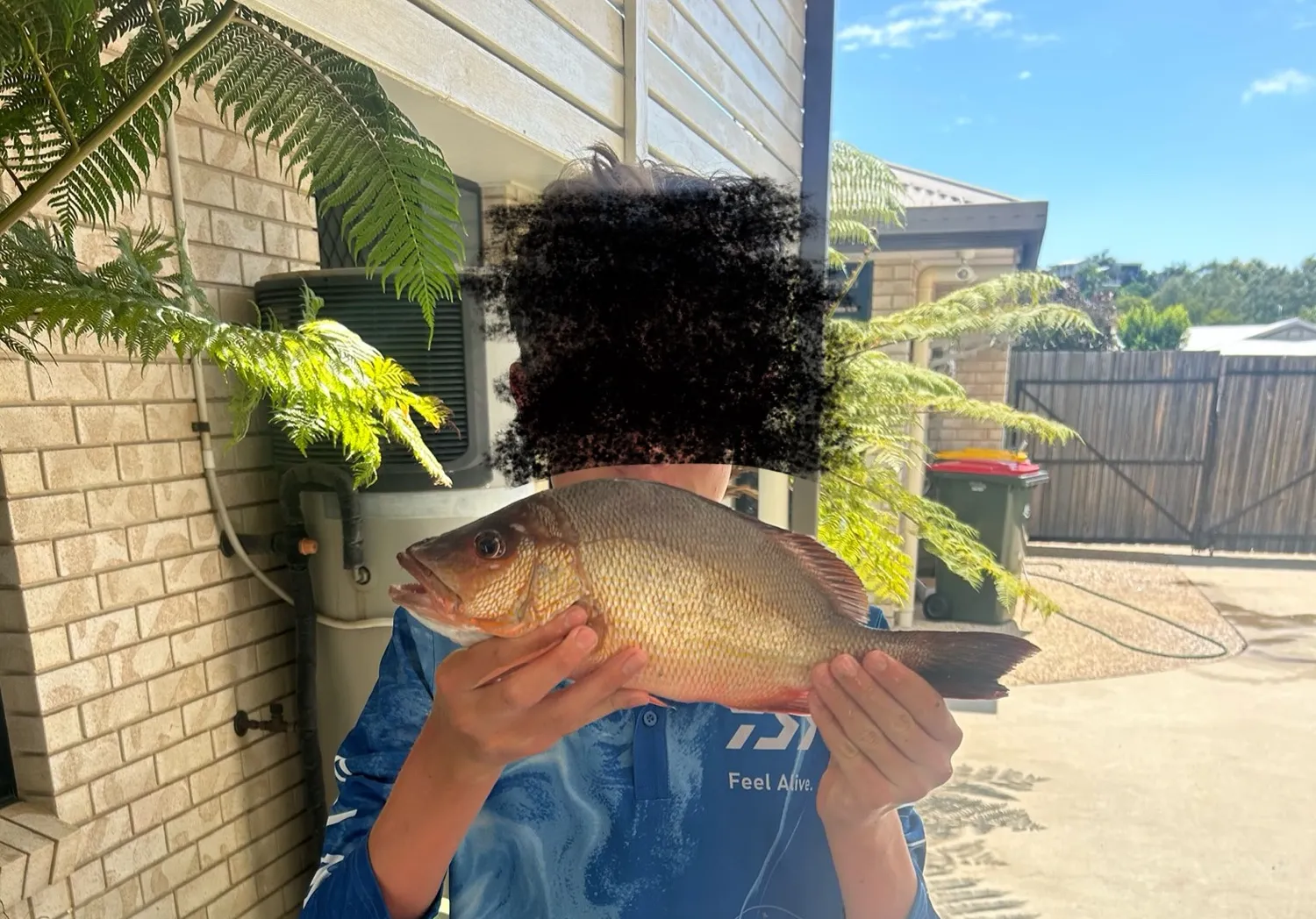 John's snapper