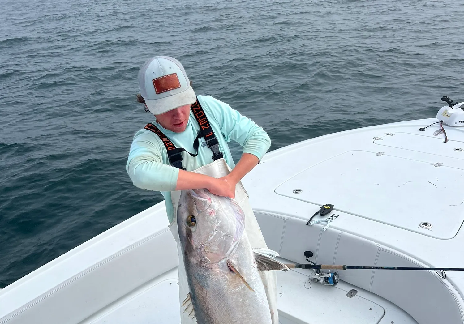 Greater amberjack