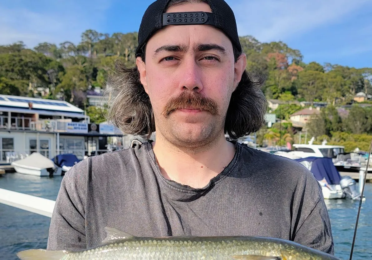 Striped mullet