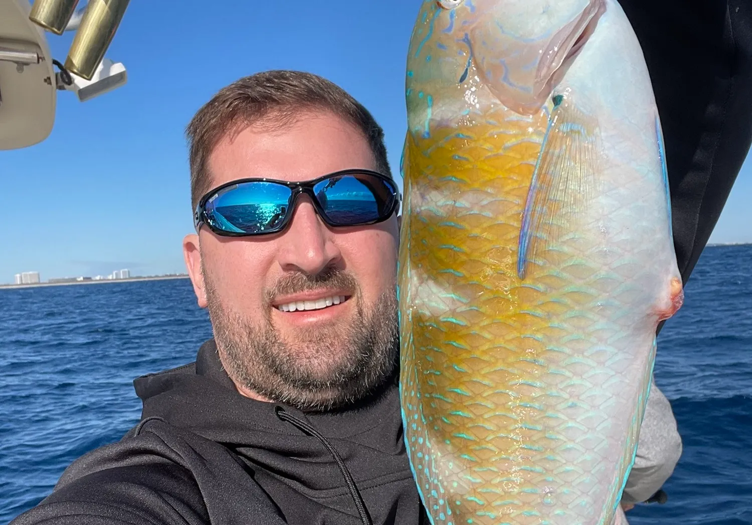 Common parrotfish