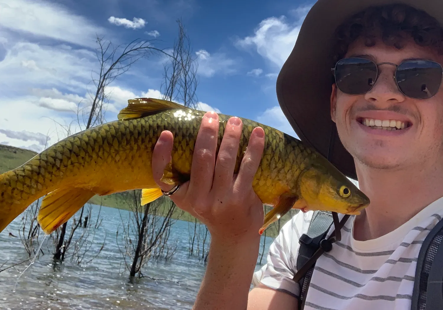 Smallmouth yellowfish