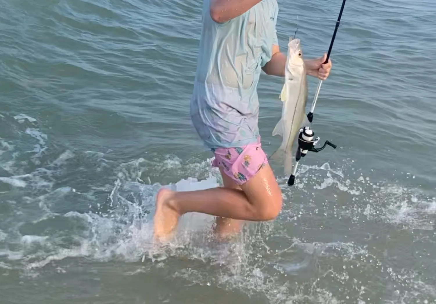 Tarpon Snook