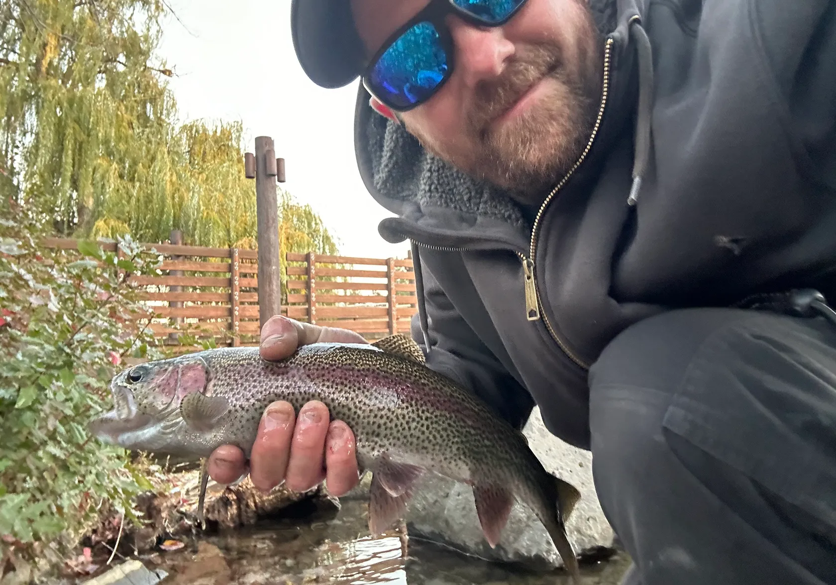 Great basin redband trout