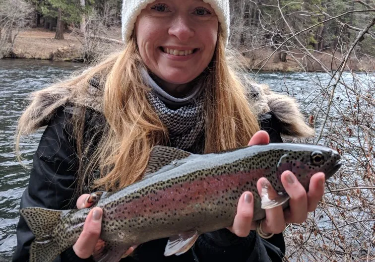 Rainbow trout