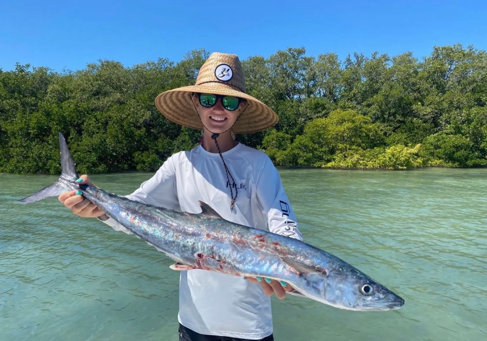 King mackerel