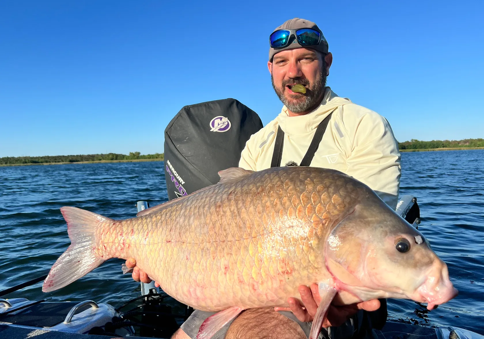 Smallmouth buffalo