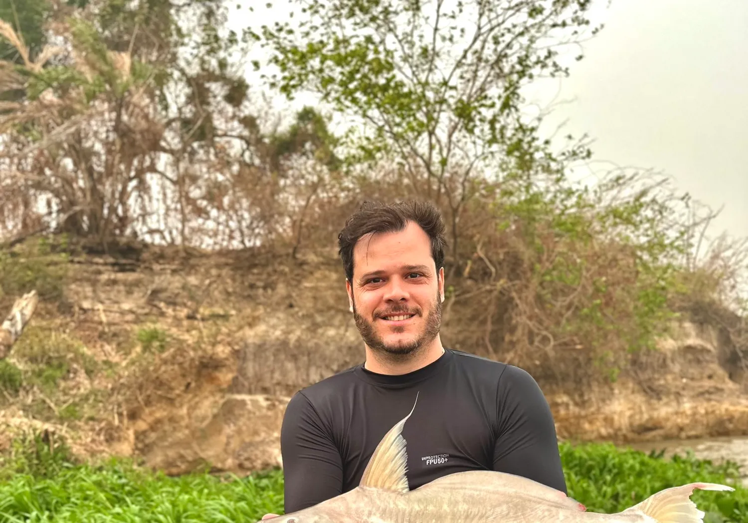 Flatwhiskered catfish