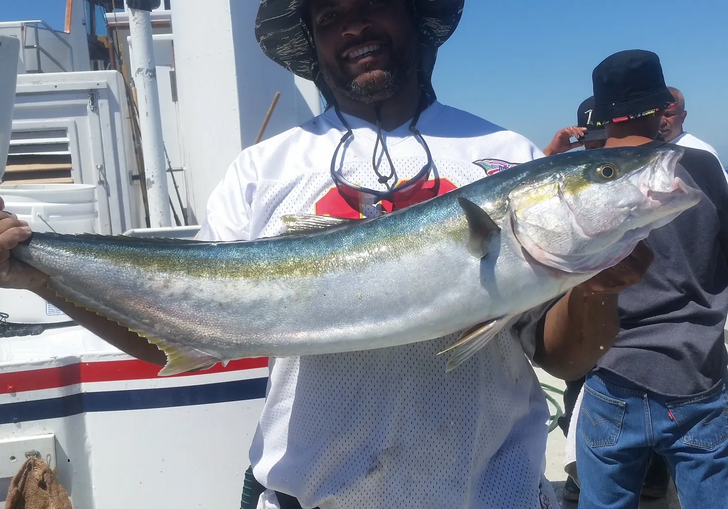 Japanese amberjack