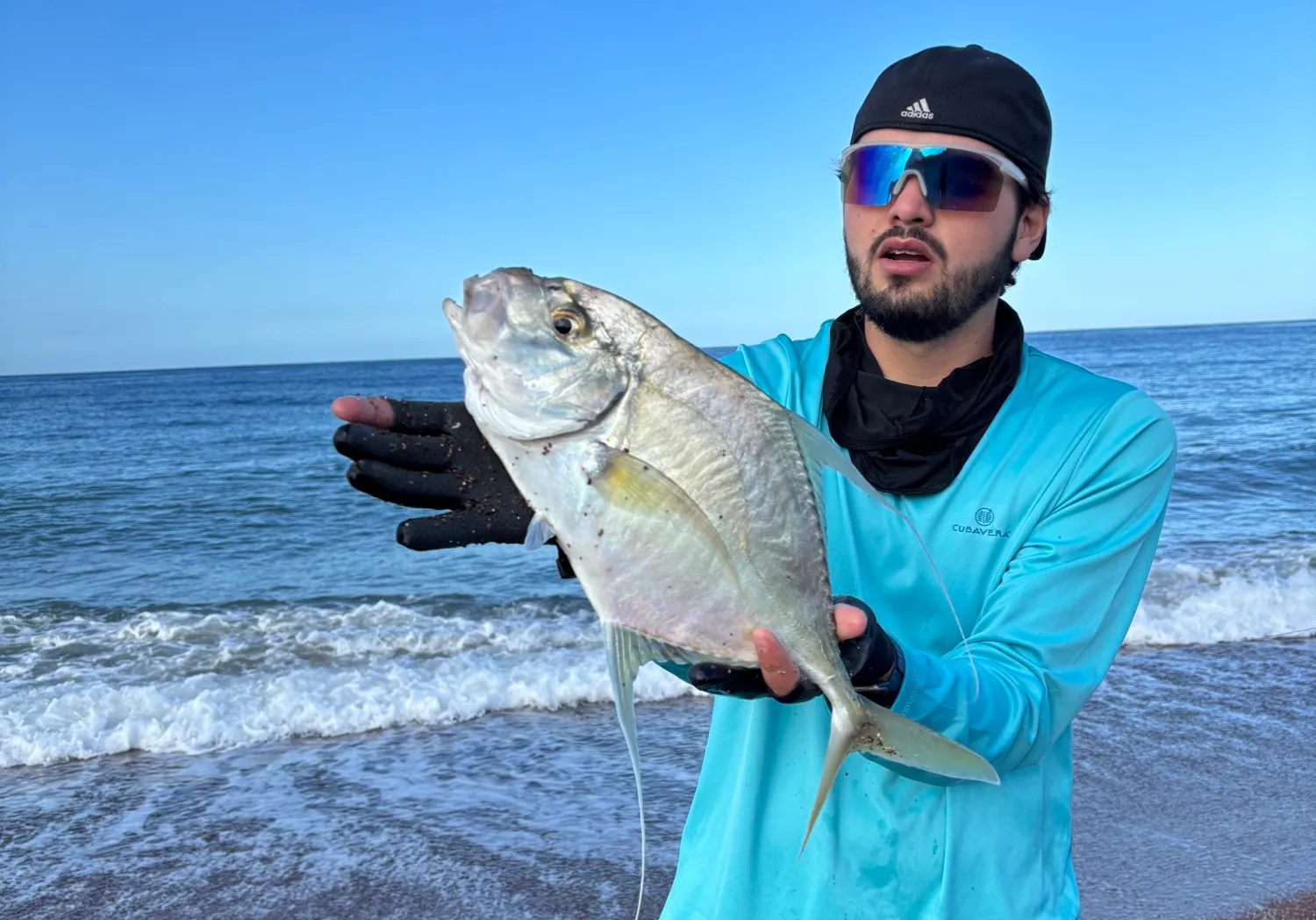 African pompano