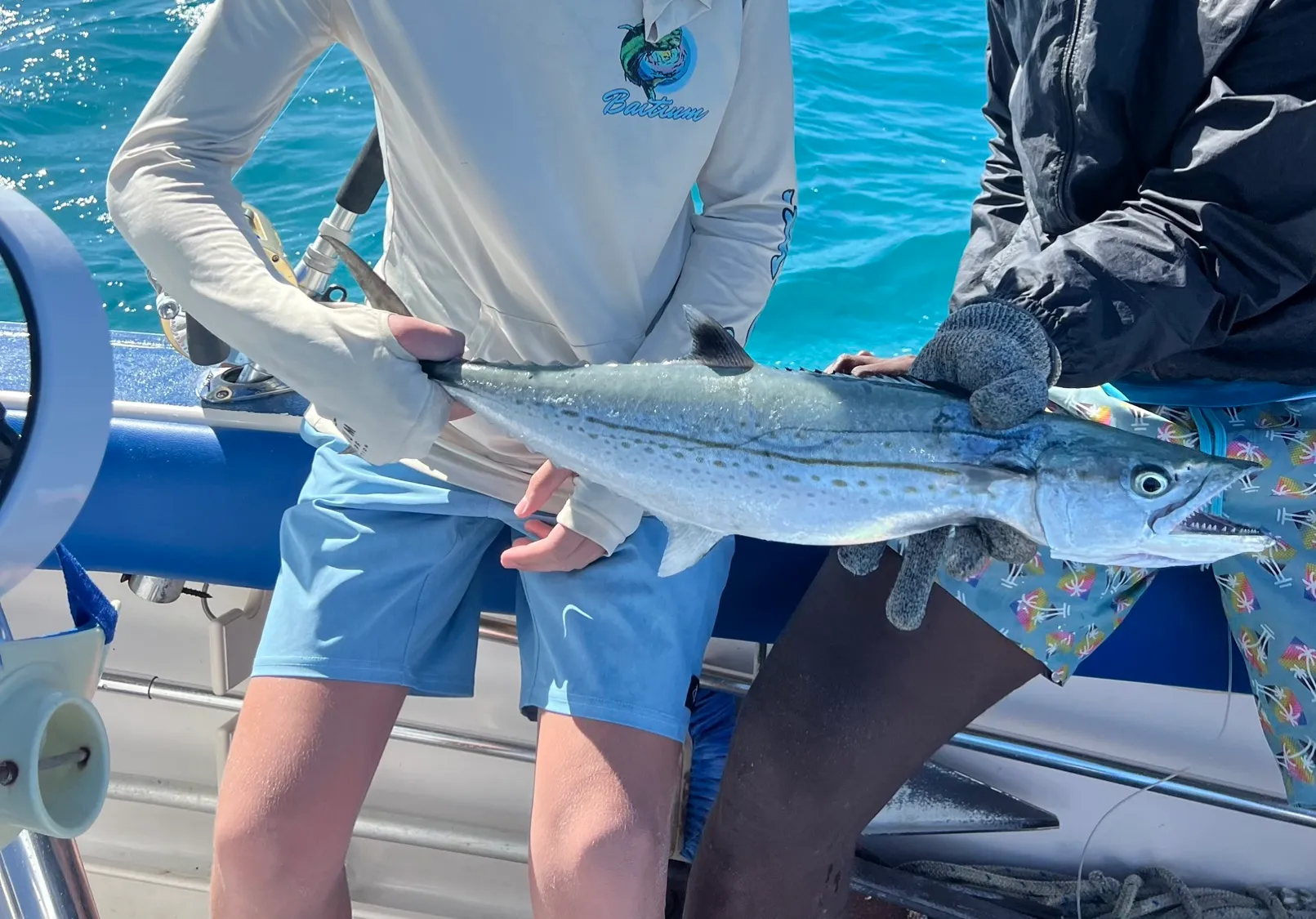 Serra Spanish mackerel