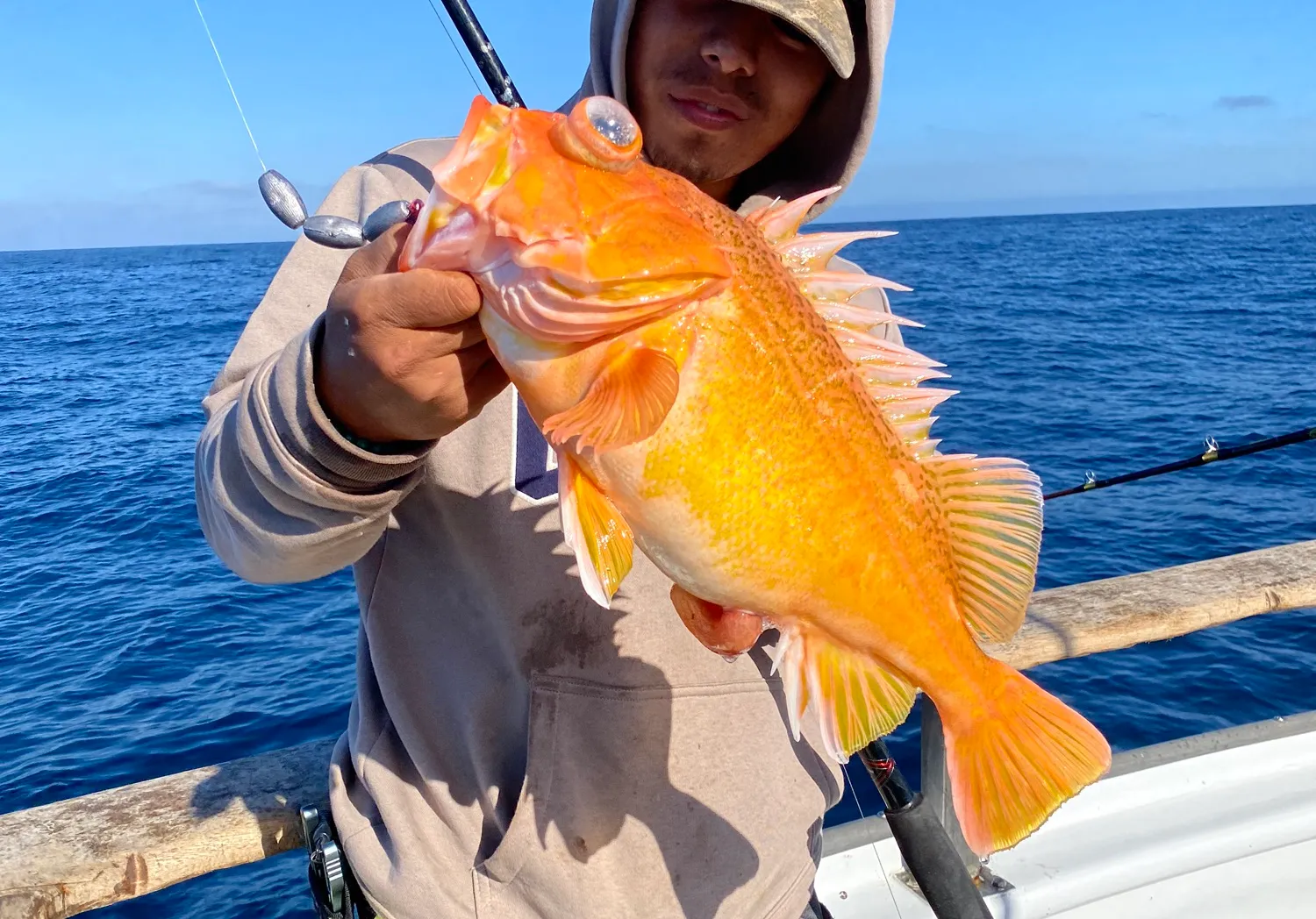 Yelloweye rockfish