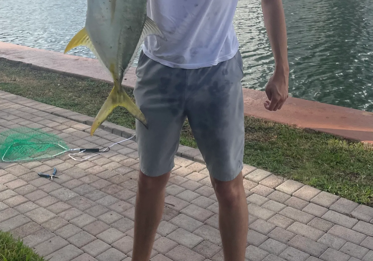 Pacific crevalle jack