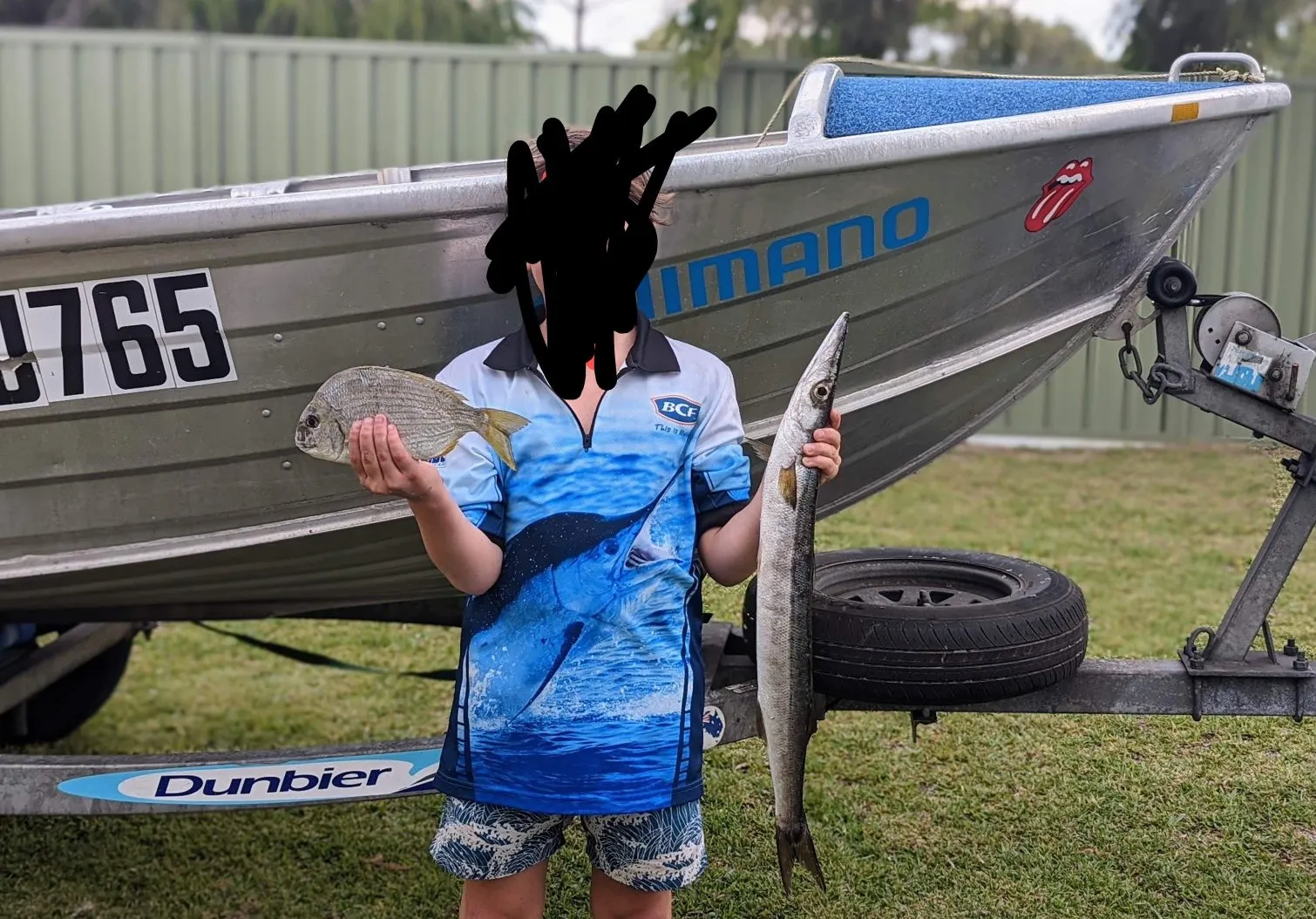 Australian barracuda