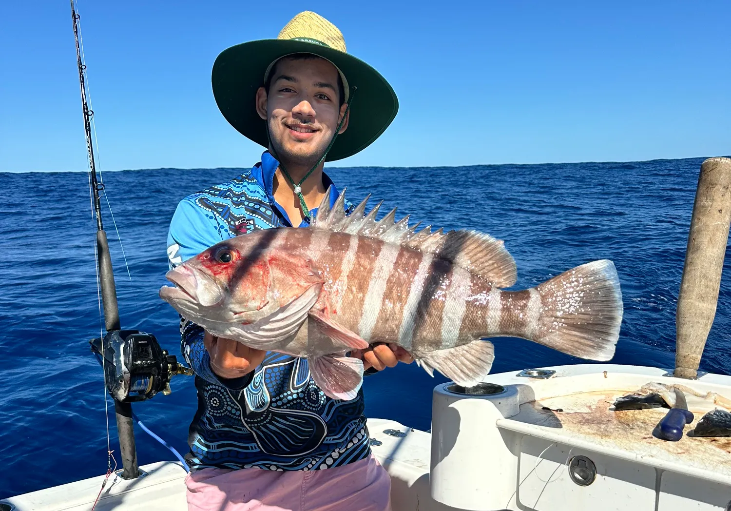 Comet grouper