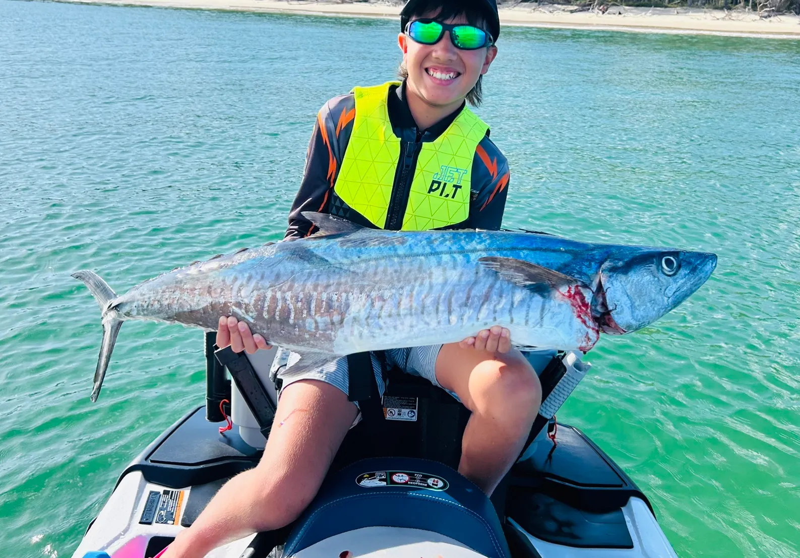 Narrow-barred Spanish mackerel