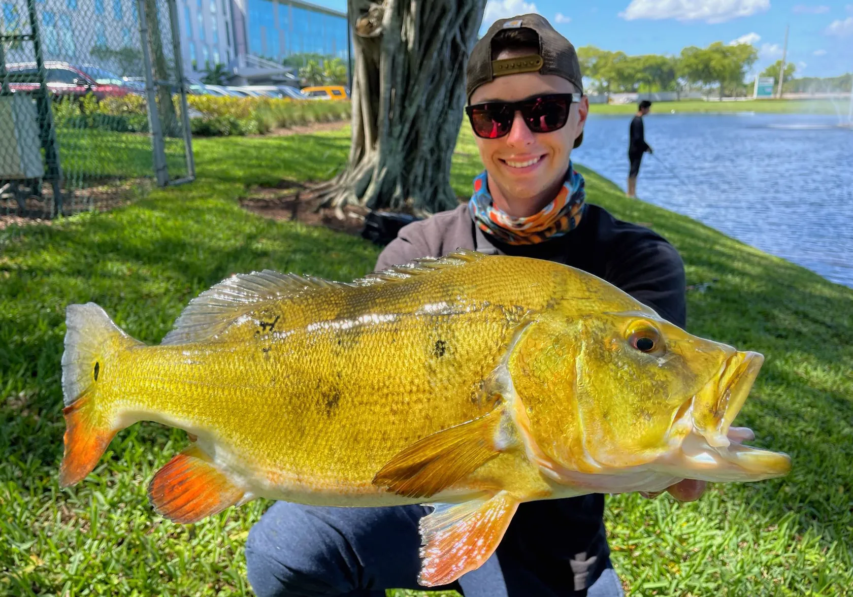 Butterfly peacock bass